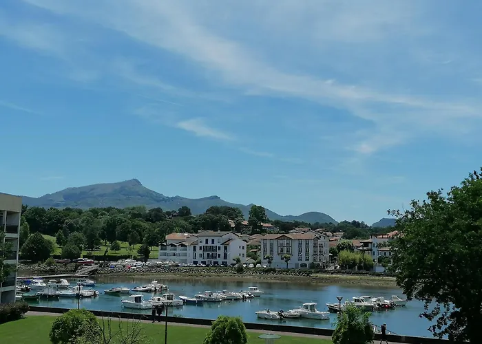 Grand Avec Vue - A Pied Appartement